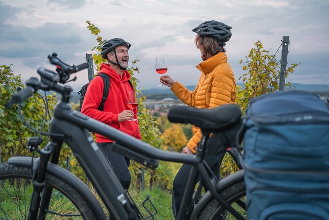 E-Bike Wine Route Full Day Tour in Cape Town - Tour Details