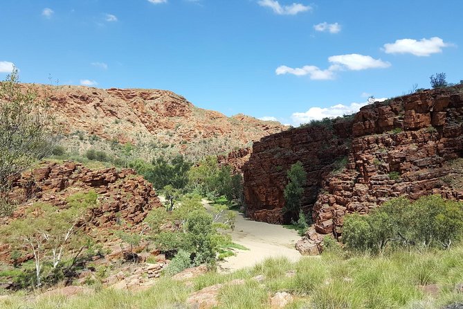 East MacDonnell Ranges 1 Day 4WD Tour - Good To Know