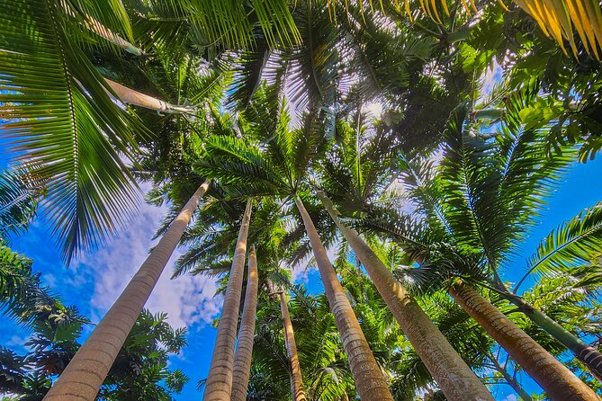 Easy Hike With Relaxing Garden Tour and Delicious Lunch - Exploring the Beautiful Gardens