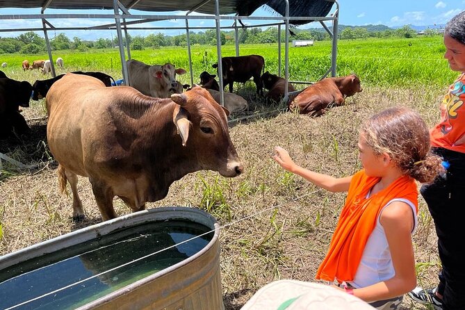 Eco Friendly Farming Tour to Explore Dorados Most Beautiful Farm - Meeting and Pickup Information