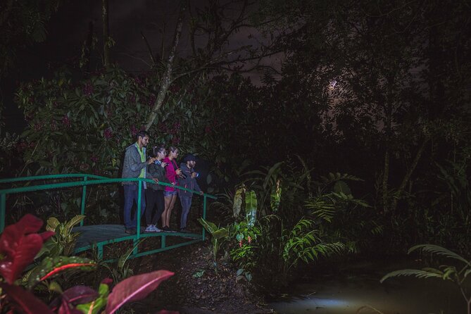 Ecogarden Arenal Night Walk - What To Expect on the Tour