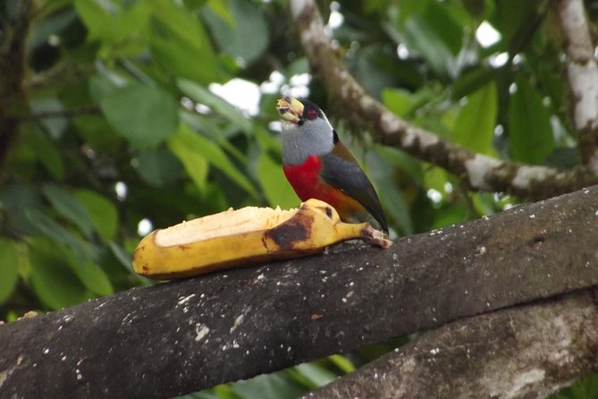 Ecuador Local Guide Offers Breathtaking Mindo Adventure - Biodiversity Exploration