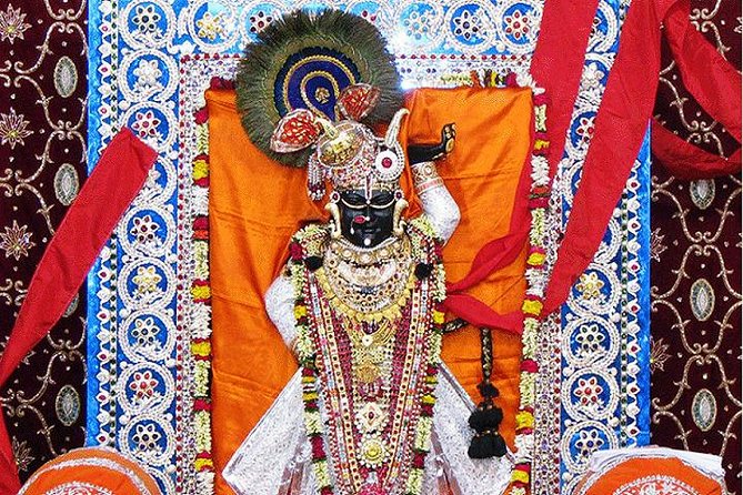 Ekling Ji and Nagda (Sahasrabahu Temple) Day Trip - Good To Know