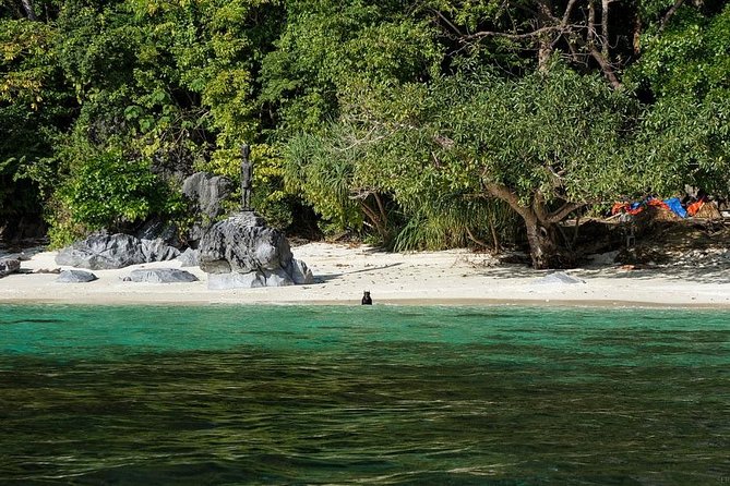 El Nido Tour D Island Hopping - Review Information and Authenticity