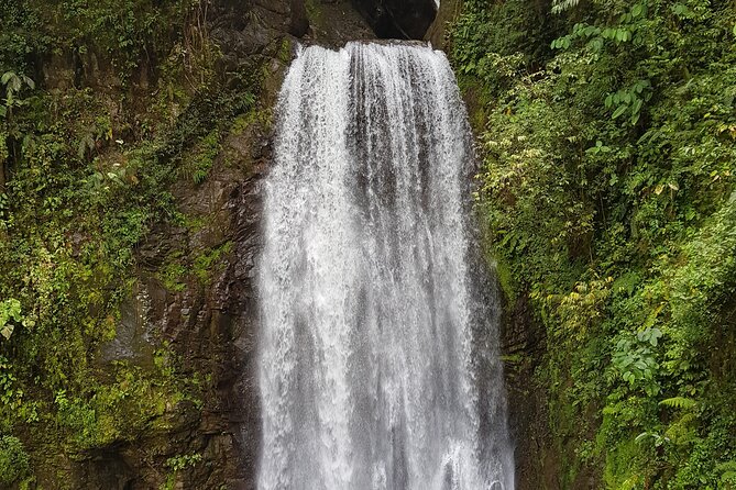 El Tigre Waterfalls Hiking Tour With Lunch and Nature Guide - Itinerary Details