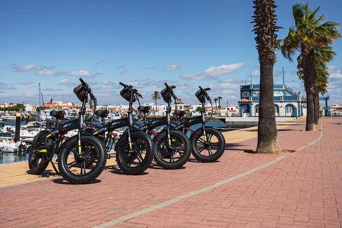 Electric Bicycle Rental in Huelva - Inclusions and Accessibility Details