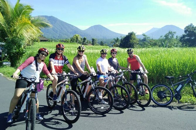 Electric Bicycle Tour in Jatiluwih UNESCO Site - Traveler Experience