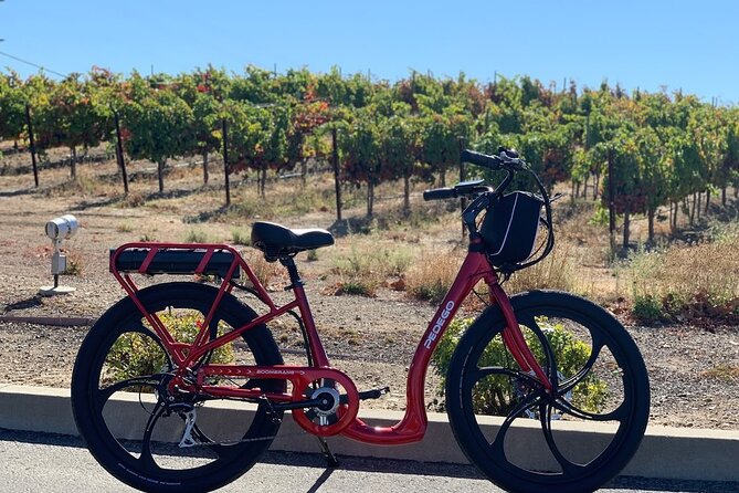 Electric Bike Rental in Livermore - Date and Travelers