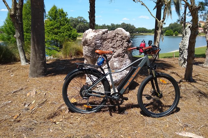 Electric Bike Rentals in the Villages Florida With Delivery - Overview of Electric Bike Rentals