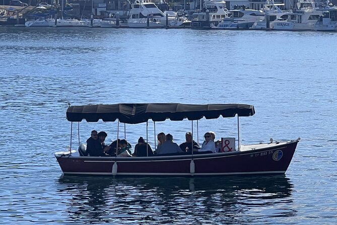 Electric Picnic Boat Rental in Newport Harbor for 12 Passengers - Inclusions and Logistics