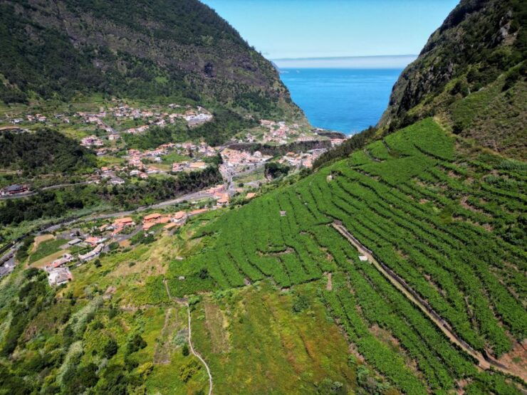 Essence of Madeira, Wine Taste, Cabo Girão Sea Cliff and 4x4 - 4x4 Jeep Excursion Through Hidden Gems