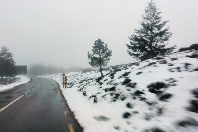 Estrela Mountain, Cheses, Wines and Olive Oils, Full-Day From Coimbra - Authentic Traveler Reviews and Ratings