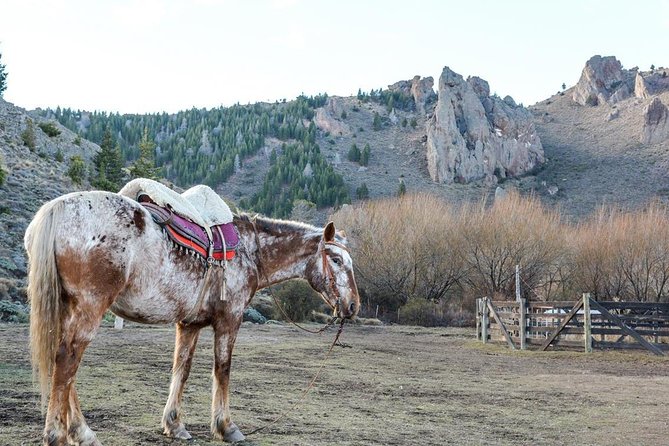 Exciting Horseback Riding Adventure With La Fragua - Tour Itinerary and Highlights