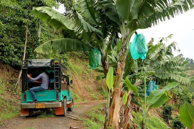 Exclusive Coffee Tour: Unforgettable Daytrip Experience - Tour Inclusions and Highlights