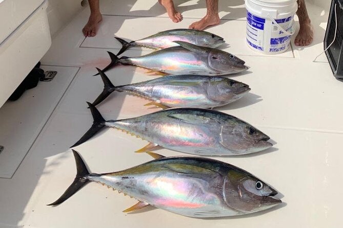 Exclusive Full-Day Fishing Adventure at Playa Flamingo - What to Expect on the Full-Day Trip