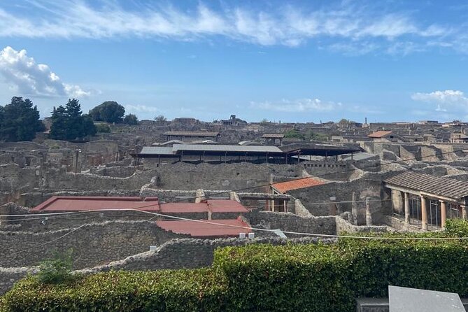 Exclusive Half-Day Tour in Pompeii With Skip the Line Tickets - Inclusions and Services Provided
