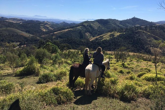 Exclusive Horse Experience With Pic-Nic at Belvedere - Brazilian Countryside Horseback Adventure