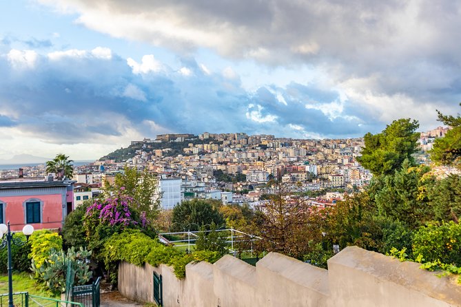 Exclusive Private Guided Tour Through the History of Naples With a Local - Price and Inclusions