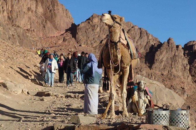 Excursion to Mosesberg and Kathrinen Monastery From Sharm El Sheikh - Pricing and Booking Details