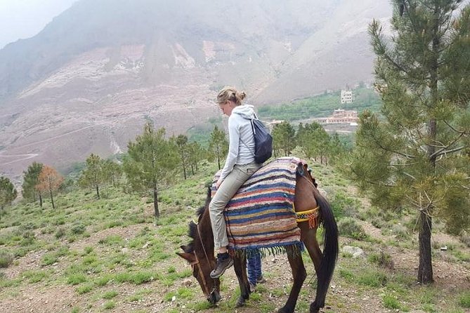 Excursion to the Atlas Mountain From Marrakech - Tahanaout Village Market
