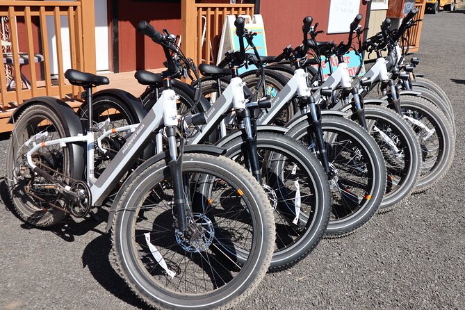 Experience E-Bike With Wine Tasting Activity - Cancellation Policy