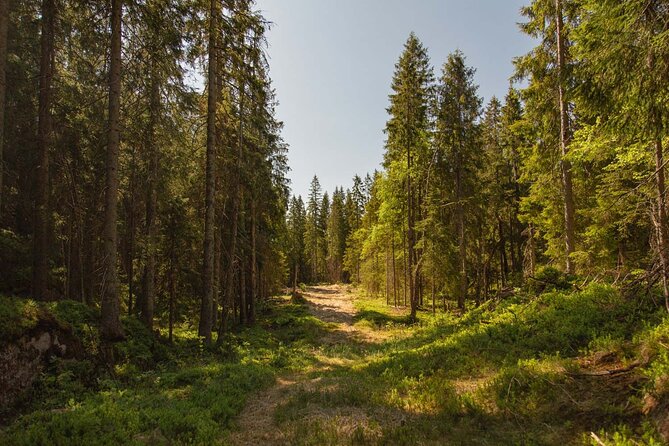 Expert-Designed Private Full Day Hike - Children Information