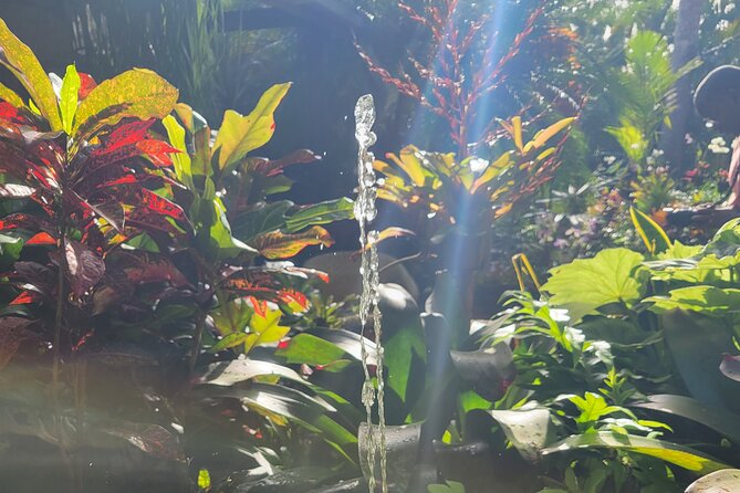 Explore Tropical Fruits & Flowers on Barbados Premier Eco-tour! - Itinerary Overview