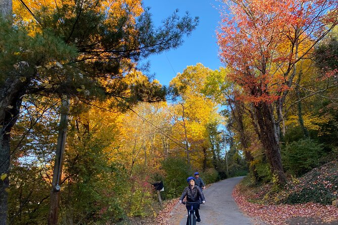 Fall Colors Bike Tour With Chattanooga Guided Adventures - Meeting and Pickup Details