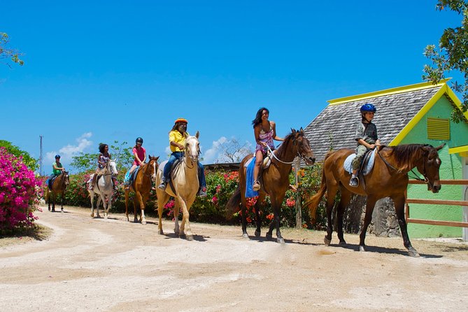 Falmouth Shore Excursion: Braco Stables Horseback Ride and Swim - Additional Information