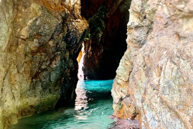 Family Snorkel Safari. Private Boat! - Booking Details and Pricing