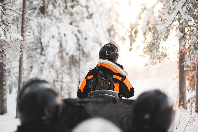 Family Snowmobile Safari From Santa Claus Village - Overview