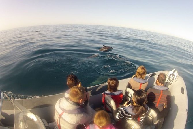 Faro Small-Group Marine Wildlife Cruise - Cruising Along the Rugged Coastline