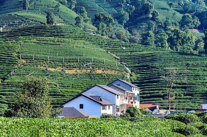 Flexible Hangzhou Private Tour From Shanghai by Bullet Train - Tour Overview