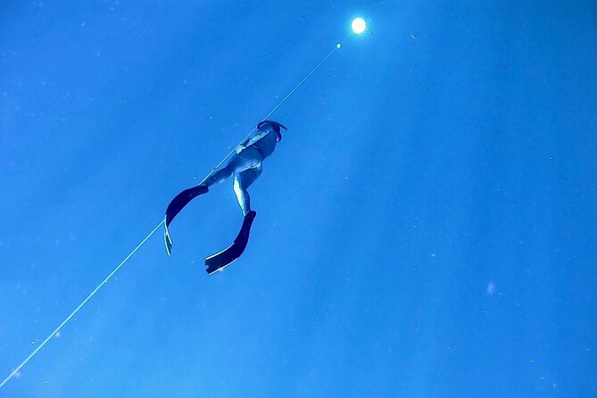 Freediver Certification Course - Course Inclusions
