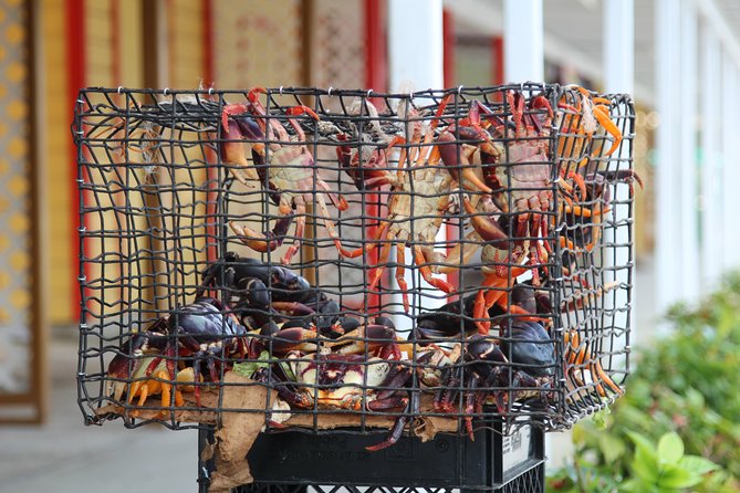 Freeport Private Sightseeing, Cooking, and Beach Half-Day Tour - Sampling Locally Made Delights