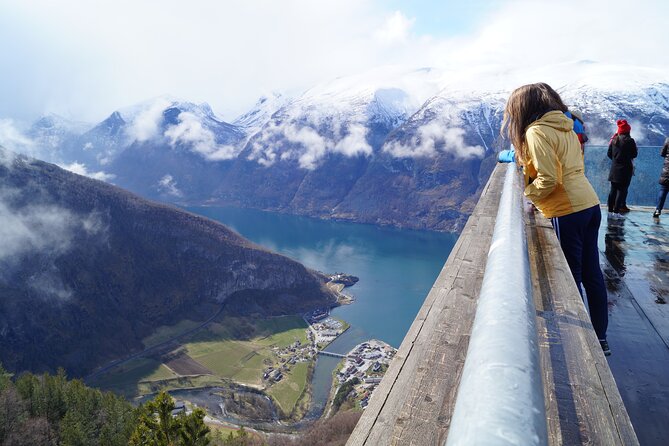 From Bergen Through Lovely Flåm and Atop the Stegastein Viewpoint - Inclusions
