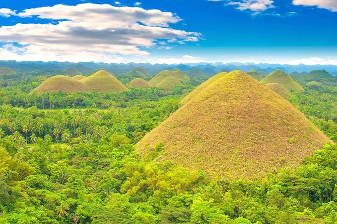 From Cebu: Bohol Countryside Private Tour & Loboc River Cruise - Booking Information