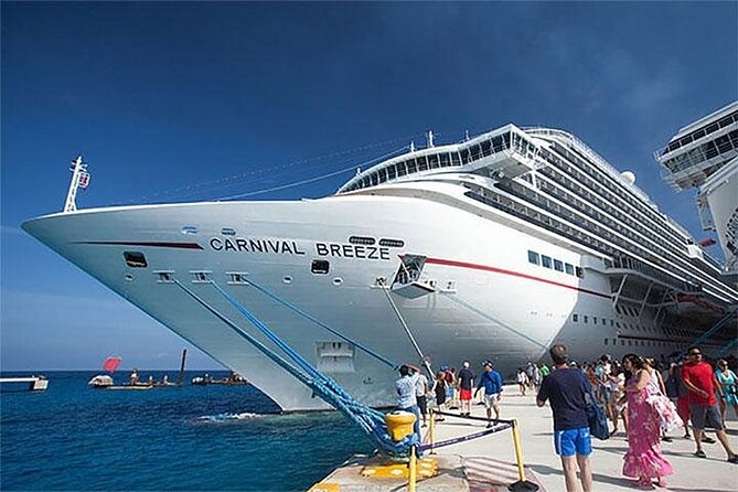 From Semarang Port: Borobudur Temple Excursion - Cruise Ship Traveler - Tour Experience