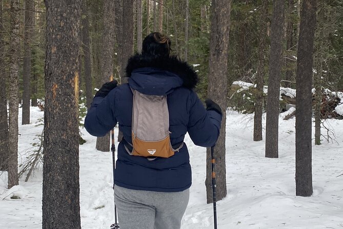 Frozen Waterfall Snowshoe Tour Estes Park - Expectations and Requirements