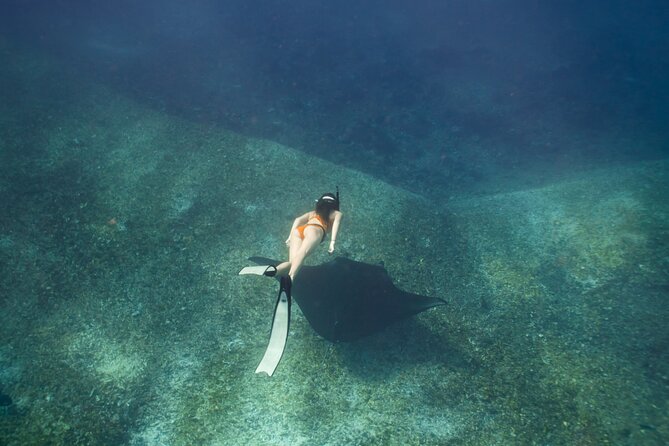 Full-Day Adventure Tour to Komodo Island With Join Speed Boat Tur - Itinerary Overview