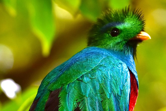 Full Day Birdwatching Experience - Confirmation and Accessibility