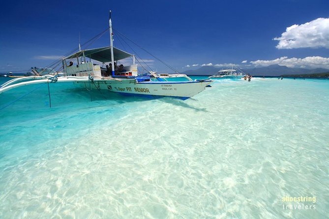 Full Day Canyoning and Whaleshark Adventure From Cebu City or Mactan Area - Pickup and Departure Details
