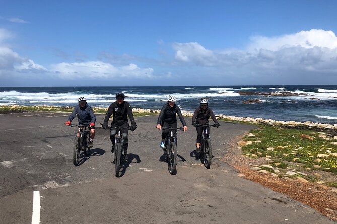 Full Day Cape Point by E-Bike, With Lunch and Transfers - Booking and Reservation