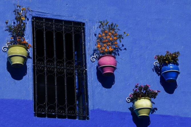 Full Day Experience to Chefchaouen From Fez With Local Expert - What to Expect on the Tour