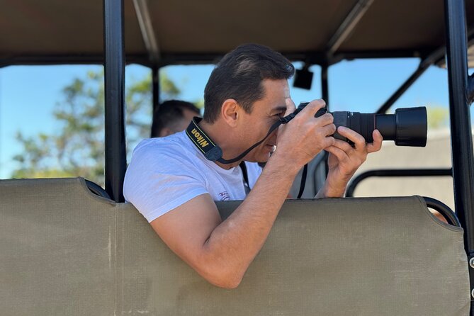 Full Day Exquisite Pilanesberg Safari From Johannesburg - Transportation and Pickup