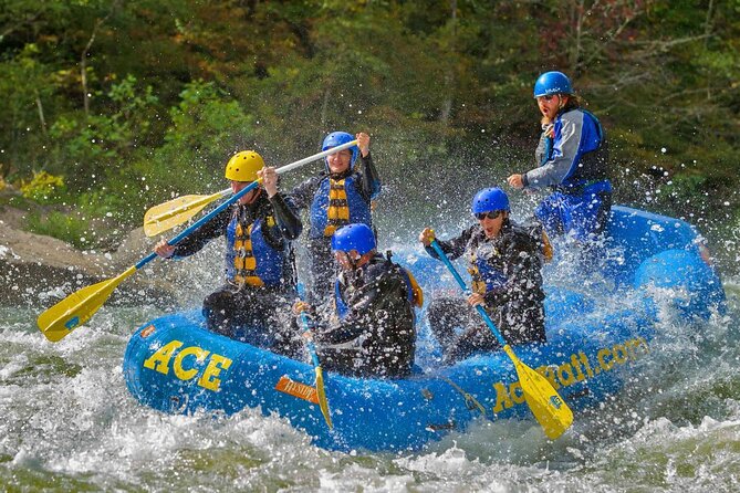 Full Day Fall Lower Gauley Rafting in West Virginia - Health and Safety Considerations
