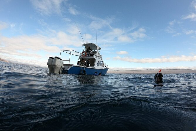 Full Day Galapagos 360 Tour From San Cristobal (Naturalist Guide) - Pricing and Reservation Details