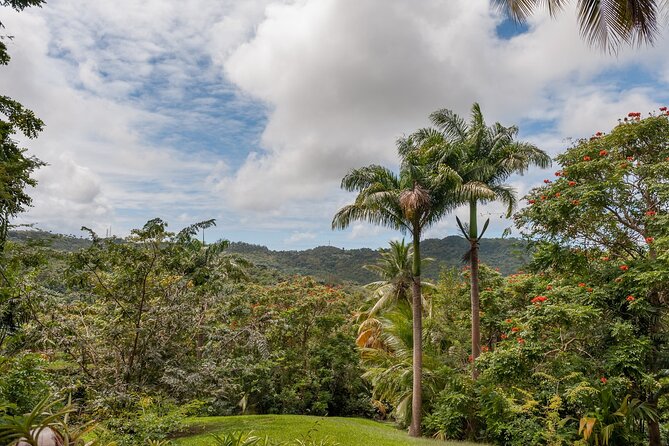 Full Day Garden Delight Private Tour in Barbados - Itinerary Overview