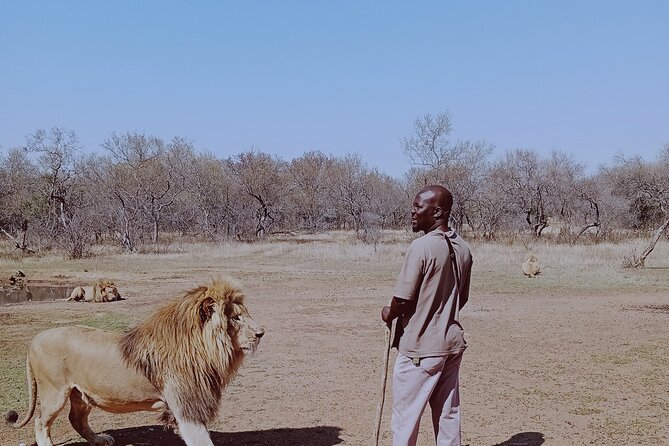 Full Day Guided Bushwalk - Learn About African Wildlife