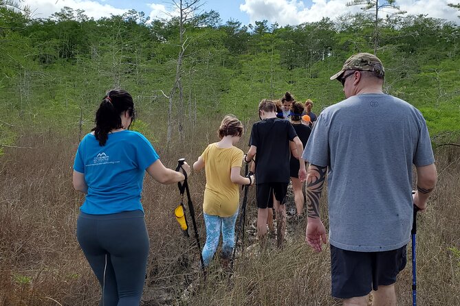 Full-Day Hiking and Kayaking Tour in Everglades National Park - Pickup and Transportation